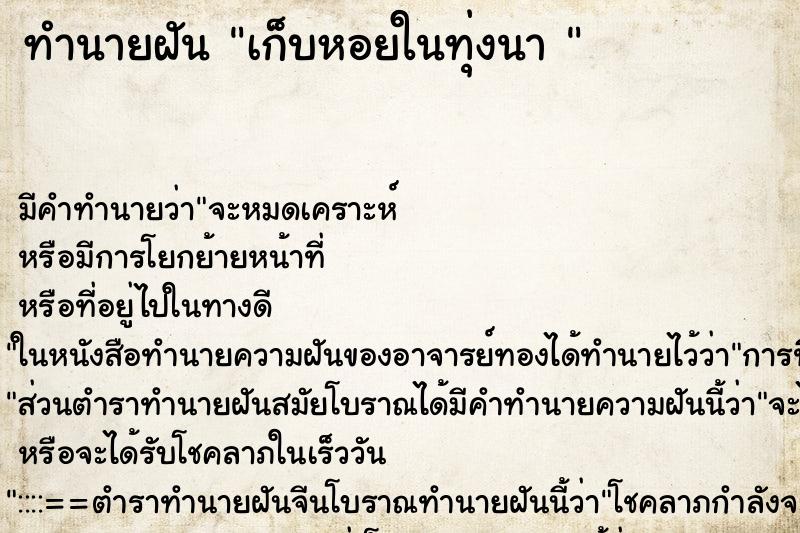 ทำนายฝัน เก็บหอยในทุ่งนา 